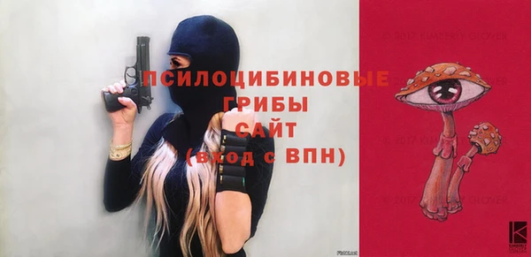 гашик Зерноград