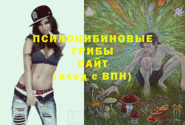 ECSTASY Зеленокумск